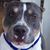 Beba Fernandez's profile image