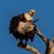 Doug Newman's profile image