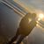 Jessica Seitz's profile image