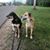 Kristy Basolo-Malmsten's profile image