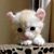 Marce Baéz's profile image