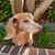 Leesa Red Wilson's profile image