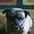 Shirley McKinney's profile image