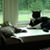 Sulayn Garber's profile image