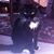 Ann Marie Kathleen Hatcher's profile image