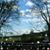 Margaret Burt's profile image