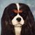 Lisa May's profile image