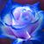 Ann Gallett's profile image