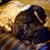 Bill Mallory's profile image