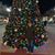 Holly Meyer's profile image