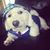 Shawna Grimason's profile image