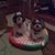 Sheila Vasser's profile image