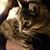 Sarah Frances's profile image