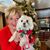 Jennifer Lynn Myers's profile image
