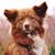 Sabina Gross's profile image
