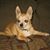Darlene Love-Hertzog's profile image