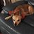 Tina Hansen's profile image