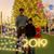 Berenice Magallanes's profile image
