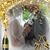 Cathy Smith's profile image