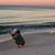 Dawnne Marchand Nance's profile image