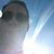 John Farrin's profile image
