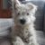 Helen McLean's profile image