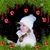 Lena Kessinger's profile image