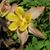 Rebecca Rucker Blankinship's profile image