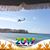 Emily Harris Marasco's profile image