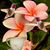 Cindy Tufts Stevens's profile image