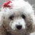 Sandra Ebert's profile image