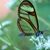 Sylvia C.'s profile image