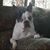 Kathie Kikendall's profile image