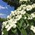 Angie Curtis Morin's profile image