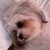 G-Ma Brown's profile image