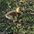 Angie Coble's profile image