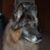 Susannah Lewis's profile image