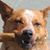 Annette Jones Ellis's profile image