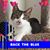 Jill Findley McGee's profile image