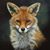 Sandy Hill's profile image