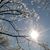 Ginny Fortunato's profile image