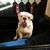 Jim Huckle's profile image