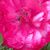 Brian Bragdon's profile image