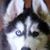 Pamela Pepper's profile image