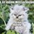 Jennifer Blair Ayres's profile image
