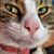 Tom R. Davis's profile image