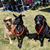 Sandi N Dean's profile image