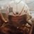 John Grotluschen's profile image