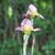Denise Mason's profile image