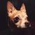 Jordana Morvidelli's profile image